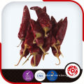 Chinese Export Dried Red Chilli